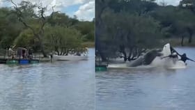 హిప్పో దెబ్బకు విలవిలలాడిన పడవ..!