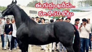 ప్రయాణికుడి బంగారు బ్రేస్‌లెట్ మాయం.. ఇండిగోపై రూ.60 వేల పరిహారం