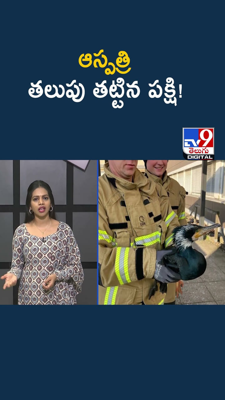 డైరెక్టుగా.. ఆస్పత్రి తలుపు తట్టిన పక్షి..