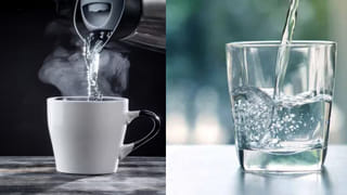 Chapatis: బరువు తగ్గేందుకు, ఫిట్‌గా ఉండేందకు ఒక రోజులో ఎన్ని చపాతీలు తినాలి!