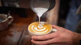 అసలు రోజుకు ఎన్ని కప్పుల కాఫీ తాగాలి? ఎక్కువైతే ఏం జరుగుతుంది..