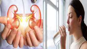 కిడ్నీలో రాళ్లు కరగాలంటే రోజుకు ఎన్ని లీటర్ల నీళ్లు తాగాలి..?