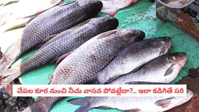 చేపల కూర నుంచి నీచు వాసన పోవట్లేదా?.. ఇలా కడిగితే సరి