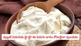 Shoe Odor: బూట్లలో దుర్వాసనతో విసిగి పోయారా? సింపుల్‌గా ఇలా వదిలించుకోండి..