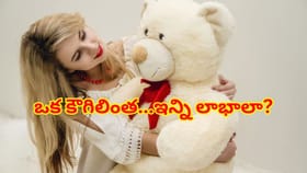 టెడ్డీని కౌగిలించుకుంటే ఇంత సుఖమా? టెడ్డీ డే స్పెషల్ స్టోరీ