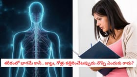 జుట్టు, గోళ్లు కత్తిరించేటప్పుడు నొప్పి ఎందుకు రాదు?