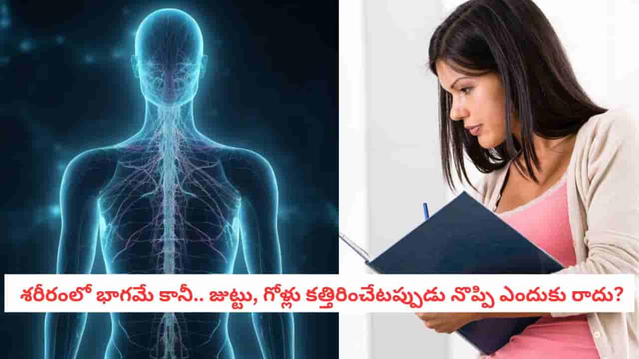 Science Facts: మన శరీరంలో భాగమే.. అయినా ఈ రెండు భాగాలను కత్తిరించినా నొప్పి తెలియదు..