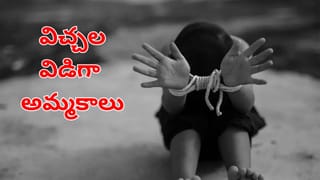 Watch Video: ఫుల్‌గా తాగాడు.. నీట్‌గా ట్రాన్స్‌ఫార్మర్‌ ఎక్కాడు.. సీన్‌ కట్‌చేస్తే.. ఇది పరిస్థితి!