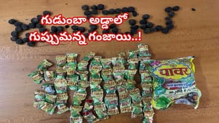 TGSRTC: టీజీఎస్‌ఆర్టీసీ ప్రయాణికులకు సూపర్ న్యూస్.. మీ సేవ యాప్‌తో కూడా టికెట్లు బుక్ చేసుకోవచ్చు.. బస్ పాస్‌లు కూడా..
