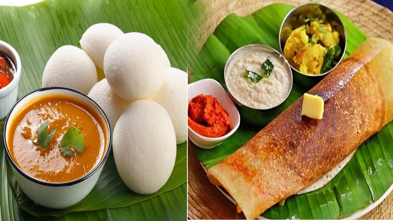 కేలరీల లెక్క: బరువు తగ్గడంలో కేలరీల లెక్కలు చాలా ముఖ్యం. ఇక్కడే ఇడ్లీ స్పష్టమైన విజేతగా నిలుస్తుంది. ఒక మీడియం ఇడ్లీలో కేవలం 39-45 కేలరీలు మాత్రమే ఉంటాయి. దీనిని ఆవిరిపై ఉడికించడం వల్ల నూనె అవసరం ఉండదు. ఒక సాధారణ దోశలో 120-150 కేలరీలు ఉంటాయి. దీనిని క్రిస్పీగా మార్చేందుకు వాడే నూనె లేదా నెయ్యి వల్ల కొవ్వు శాతం పెరుగుతుంది. మీరు బరువు తగ్గాలనుకుంటే ఒక దోశ తినే బదులు మూడు ఇడ్లీలు తిన్నా తక్కువ కేలరీలే శరీరానికి అందుతాయి.