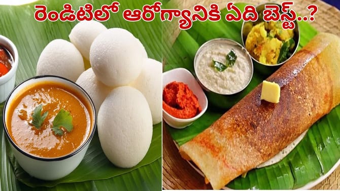 ఇడ్లీ Vs దోశ.. బరువు తగ్గడానికి ఏది బెస్ట్..? ఉదయం ఏది తింటే..