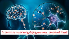 మీ మెదడును ముసలిదాన్ని చేస్తోన్న అలవాటు.. మానకుంటే డేంజరే