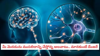 Pregnancy: ప్రెగ్నెంట్‌ సమయంలో మహిళలను ఎందుకని పాము కాటు వేయదు?