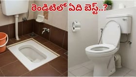 ఇండియన్ Vs వెస్ట్రన్ టాయిలెట్.. ఆరోగ్యానికి ఏది మంచిది..?