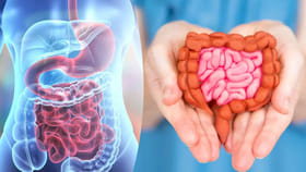 ఆహారం జీర్ణం అవుతుందా.. లేదా..? ఎలా తెలుసుకోవచ్చు..