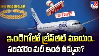 తేనెటీగల దాడి.. పిల్లల్ని కాపాడి.. ప్రాణాలొదిలిన అంగన్‌వాడీ కార్యకర్త