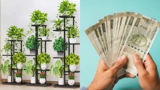 Health Tips: వీరికి  ఈ పండు విషంతో సమానం.. తినే ముందు ఇది పక్కా తెలుసుకోండి!