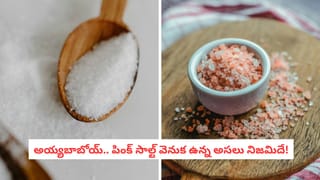 Gen Z Food Trends: క్యాండిల్ లైట్ డిన్నర్ వద్దు.. బబుల్ టీ, పింక్ పాస్తా ముద్దు.. మారుతున్న యువత టేస్ట్‌