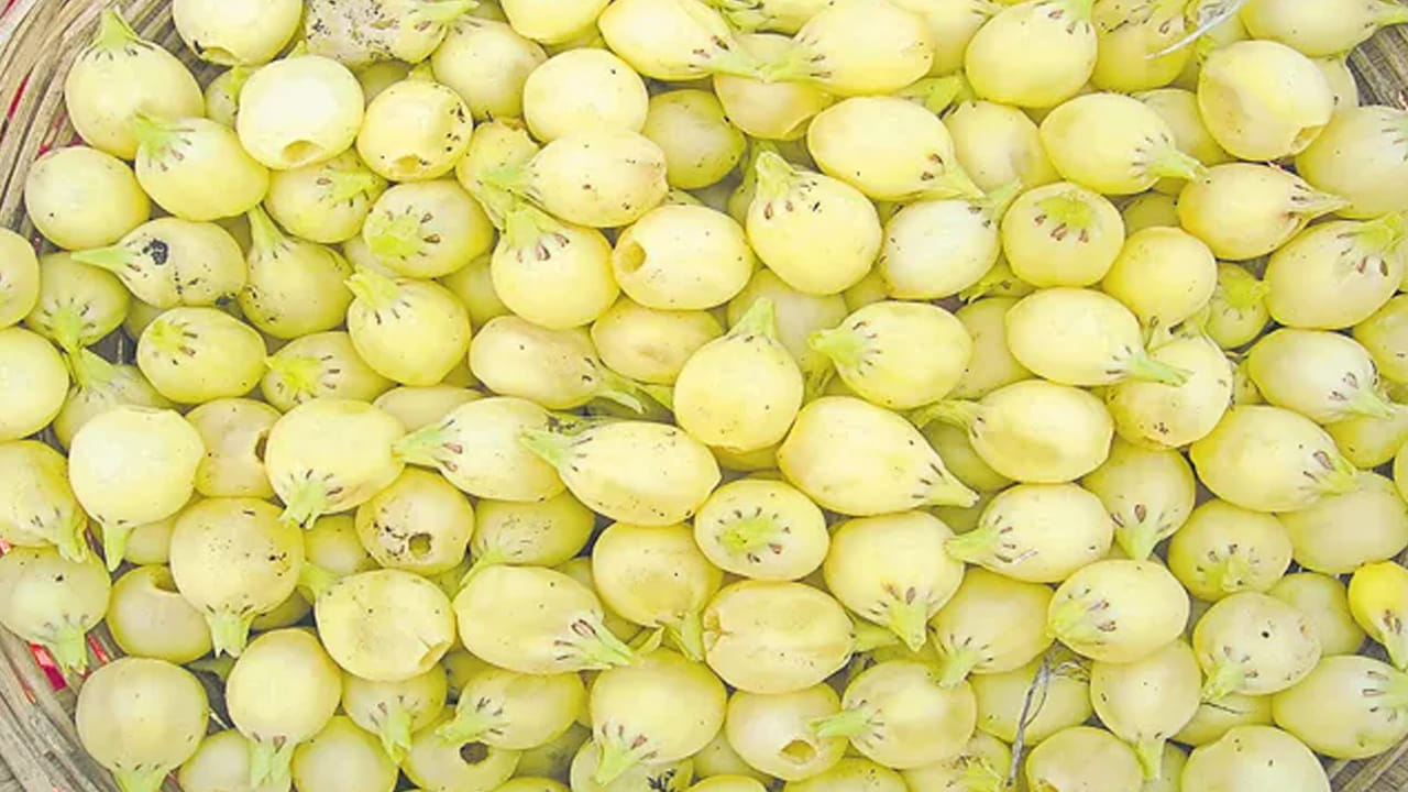 తయారీ విధానం : ముందుగా ఒక బౌల్ తీసుకొని, స్టవ్ ఆన్ చేసి, అందులో ఒక కప్పు పల్లీలు, వేసి మంచిగా వేయించుకోవాలి. తర్వాత అందులో ఒక కప్పు నువ్వులు వేసి, పచ్చి వాసన పోయి, బ్రౌన్ కలర్ వచ్చే వరకు సన్నటి మంటపై వేయించుకోవాలి. తర్వాత మరో పాన్ తీసకొని, స్టవ్ పై పెట్టి, అందులో కొంచెం నెయ్యి వేసి, ఇప్ప పువ్వును వేయించుకోవాలి. తర్వాత దీనిని మరో బౌల్లోకి తీసుకొని, కిస్మిస్,జీడిపప్పు, బాదం కూడా వేయించుకొని పక్కన పెట్టుకోవాలి.