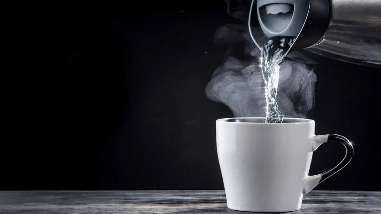 ప్రతి మనిషి శరీర స్వభావం వేరు. ఒకరికి ప్రయోజనం చేకూర్చిన పద్ధతి మరొకరికి ఇబ్బంది కలిగించవచ్చు. అందుకే సోషల్ మీడియా ట్రెండ్స్‌ను గుడ్డిగా అనుసరించకుండా, మీ శరీర తత్వాన్ని బట్టి, అవసరమైతే ఆయుర్వేద వైద్యుడిని సంప్రదించి నిర్ణయం తీసుకోవడం ఉత్తమం.
 