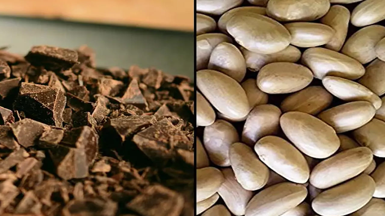 అదేవిధంగా పనస గింజల్లో కాల్షియం, పొటాషియం, మెగ్నీషియం, జింక్ వంటి పోష‌కాలు కూడా పుష్కలంగా లభిస్తాయి. ఇవి ఎముకుల‌ను, దంతాల‌ను దృఢంగా మారుస్తాయి. గుండె పోటు, ఇత‌ర గుండె జ‌బ్బులు రాకుండా ర‌క్షిస్తాయి. జాక్‌ఫ్రూట్ గింజలు తినడం వల్ల రోగనిరోధక శక్తి పెరుగుతుంది. 