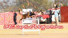 పోలీస్ జాగిలాల శక్తి ప్రదర్శన..ఈ బ్రీడ్ జాగిలాలు త్వరలో విధుల్లో