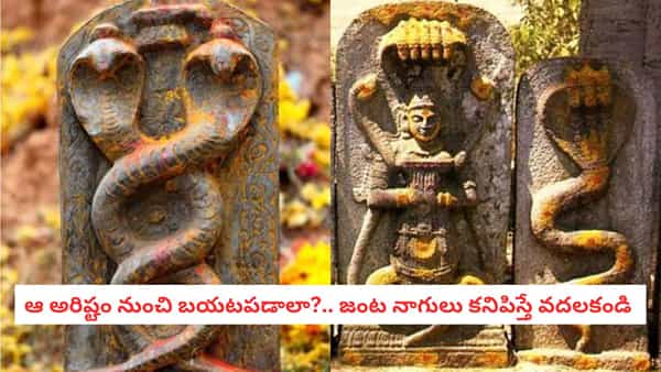 Janta Nagulu : జంట నాగుల విశిష్టత తెలిస్తే ఆశ్చర్యపోతారు.. జీవితాన్ని మార్చేసే నాగ శక్తి గురించి మీకు తెలుసా?