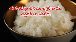 పేపర్ కప్పులో టీ తాగితే క్యాన్సర్ వస్తుందా? అపోహలు కాదు.. నిజాలు తెలుసుకోండి