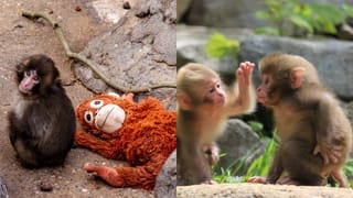 రూ.26వేల భోజనంలో వింత ఆచారం.. తిన్నాకా చేతులు అదే చేతిలో లిక్విడ్ చాక్లెట్‌..