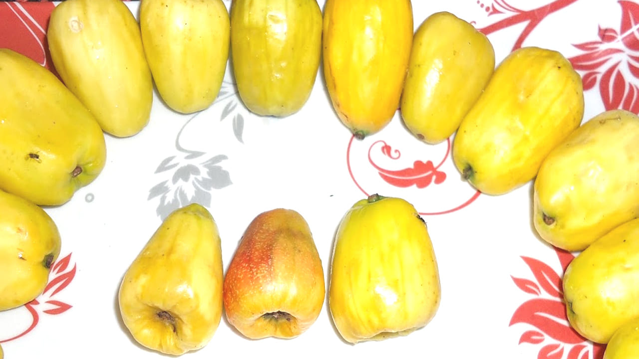 జీర్ణక్రియ : జీడిమామిడిలో ఉండే పోషకాలు జీర్ణక్రియ పని తీరును మెరుగుపరుస్తాయి. కాబట్టి, వీటిని తినడం అలవాటు చేసుకోండి. 