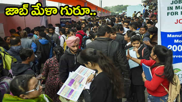 Job Mela 2026: నిరుద్యోగులకు అలర్ట్.. ఫిబ్రవరి 28న భారీ జాబ్ మేళా! దరఖాస్తు లింక్ ఇదిగో..