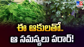 ఈ ఆకులతో అద్భుత ప్రయోజనాలు.. ఆ సమస్యలు పరార్‌!