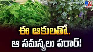 Chicken: ప్రతిరోజూ చికెన్ తింటే శరీరంలో జరిగేదిదే.. అమ్మబాబోయ్.. పెద్ద కథే ఉందిగా..