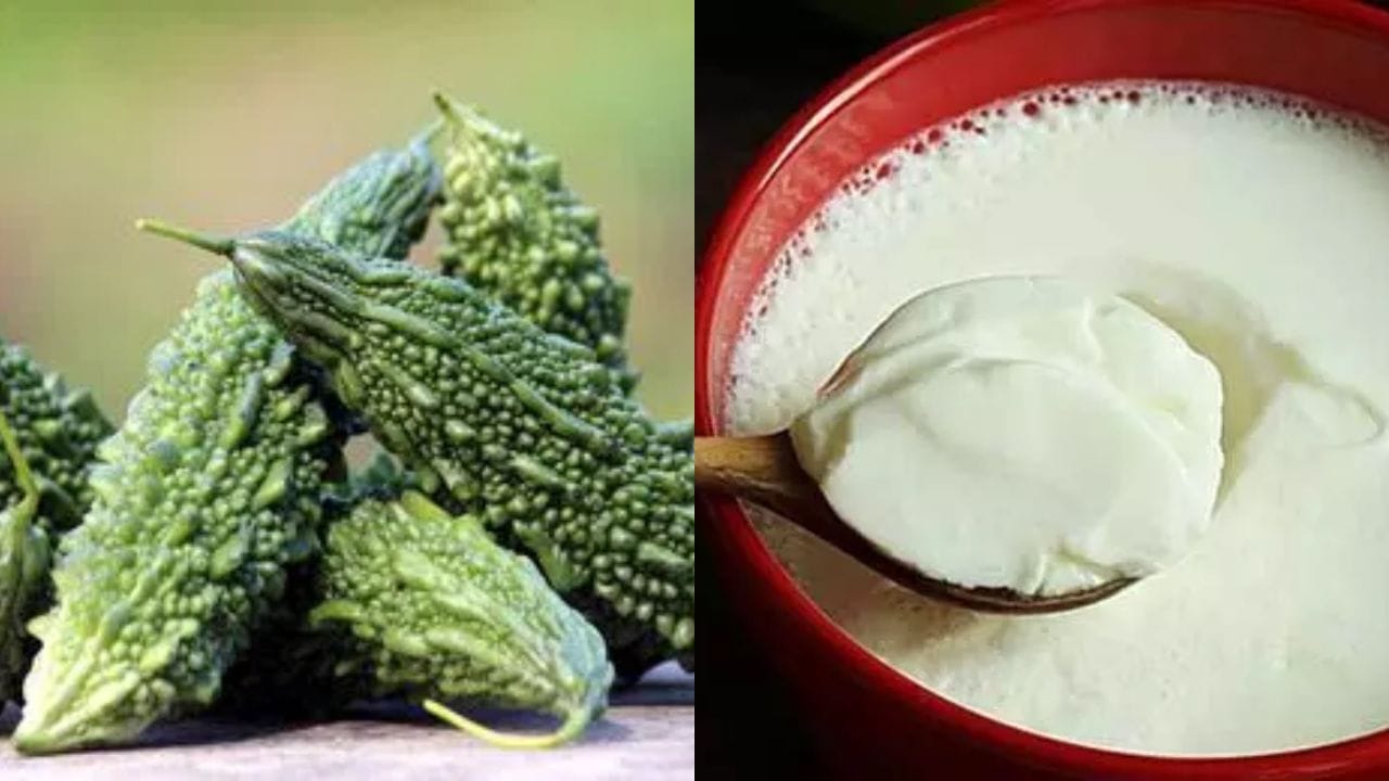 పెరుగు: చాలా మంది అన్నంలో కర్నీతో పాటు పెరుగును కలుపుకొని తింటారు. ఒక వేళ మీరు భోజనంలోకి కాకరకాయ కర్నీని తీసుకుంటే అలాంటి సందర్భాల్లో పెరుగును అస్సలూ జోడించుకోవద్దు. ఎందుకంటే ఈ కలయిక కొంతమందిలో చర్మ సమస్యలు లేదా అలెర్జీ లక్షణాలను కలిగిస్తుంది. సున్నితమైన చర్మం ఉన్నవారు దీని విషయంలో చాలా జాగ్రత్తగా ఉండాలి.