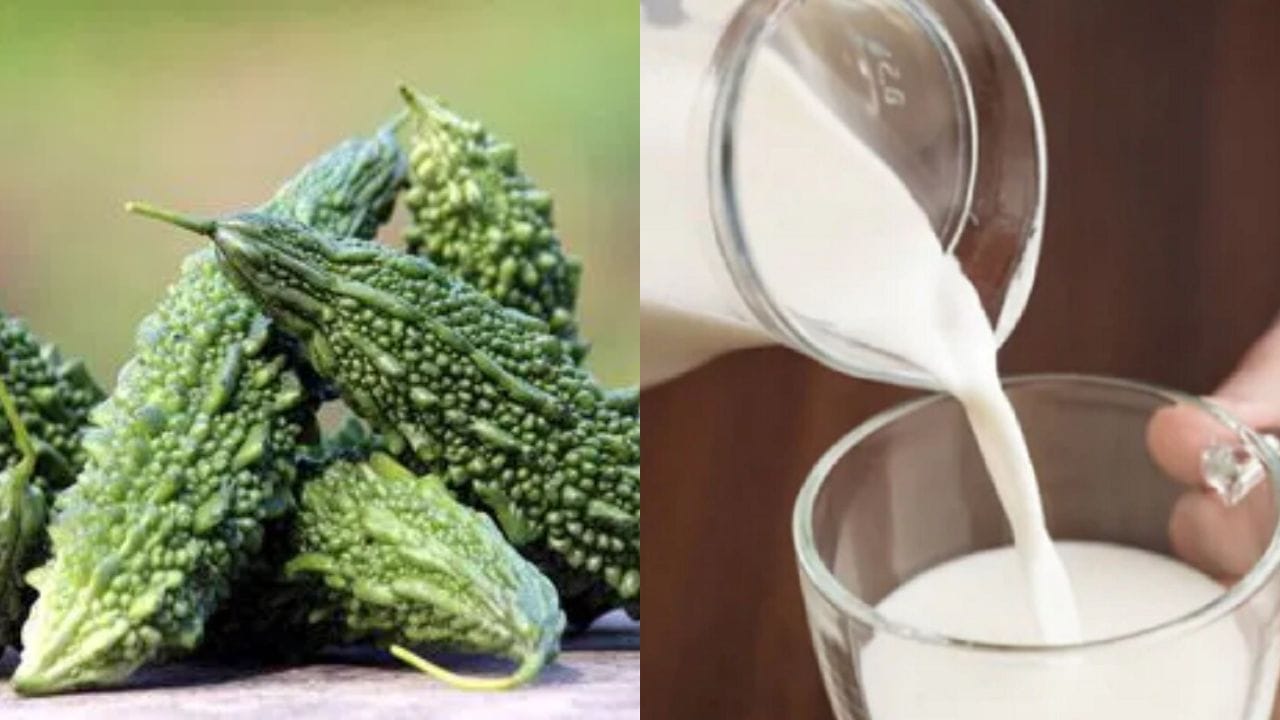 పాలు: కాకరకాయలు తినడం వల్ల మనకు ఆనేక రకాల ప్రయోజనాలు ఉన్నప్పటికీ ఈ పదార్థాలతో కలిపి తీసుకోవడం అస్సలు మంచిది కాదు. చాలా మంది తిన్న వెంటనే పాలు తాగే అలవాటు ఉంటుంది. కానీ మీరు భోజనంలో కాకరకాయలు తింటే ఆ వెంటనే పాలు తాగడం మానేయండి. ఈ రెండు పదార్థాల కలయిక జీర్ణ సమస్యలకు దారితీస్తుంది. ఇలా తినడం ద్వారా కొంతమందిలో ఉబ్బరం, గుండెల్లో మంట లేదా మలబద్ధకం వంటి సమస్యలు పెరగవచ్చు. అందువల్ల, కాకరకాయ తిన్న తర్వాత పాటు తాగడం ఆపేయండి.