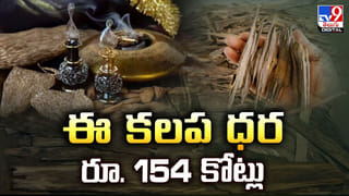 విదేశాల్లో మాదిరిగా  ముంబైలో మ్యూజికల్ రోడ్డు