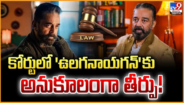 KamalHaasan: కోర్టులో 'ఉలగనాయగన్' కు.. అనుకూలంగా తీర్పు KamalHaasan: కోర్టులో 'ఉలగనాయగన్' కు.. అనుకూలంగా తీర్పు