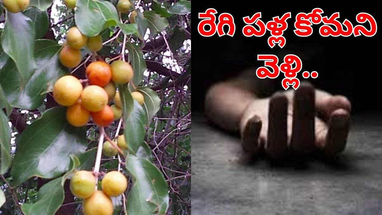 Telangana: అయ్యో దేవుడా ఎంత విషాదం.. రేగిపళ్ల కోసమని వెళ్తే..