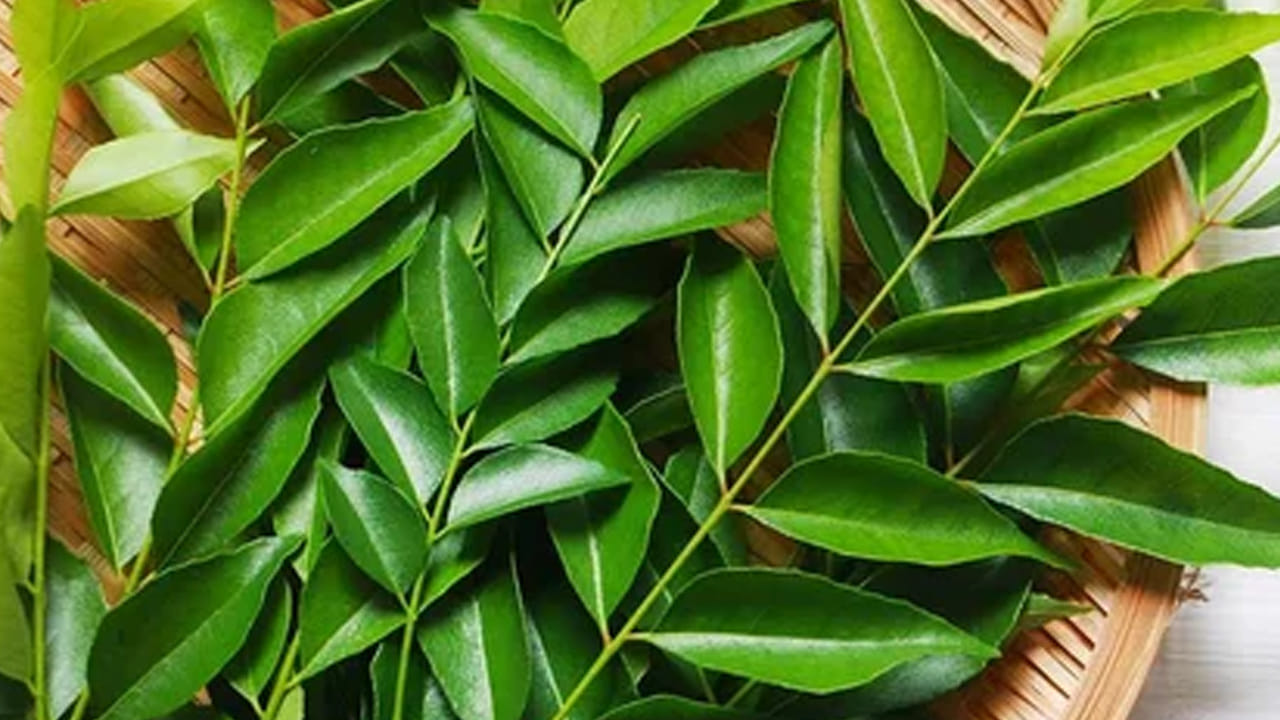 కరివేపాకు: కరివేపాకు మన కళ్ళకు మంచిదని వైద్యులు కూడా  చెప్పారు. ఇవి కళ్ళకు మాత్రమే కాకుండా జుట్టుకు కూడా చాలా మంచిది. ఎందుకంటే, వీటిలో యాంటీ ఆక్సిడెంట్లు, బీటా కెరోటిన్ ఉన్నాయి. ముందుగా కొబ్బరినూనెను తీసుకుని దానిలో కరివేపాకు ఆకులను బాగా మరిగించాలి. ఆ నూనె చల్లారిన తర్వాత జుట్టుకు అప్లై చేయండి. ఇలా చేయడం వలన జుట్టు నల్లగా మారుతుంది. 
