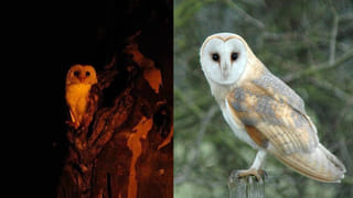 2047 టార్గెట్: అగ్రశ్రేణి లాజిస్టిక్ హబ్‌గా తెలంగాణ, వేలాది ఉద్యోగాలకు బంగారు బాట