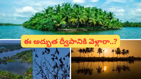 పర్యాటకుల స్వర్గధామం.. 'కాకుల ద్వీపం'..! మనదేశంలోనే ఎక్కడ ఉందంటే.