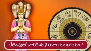వేపాకులు గురించి ఈ సీక్రెట్స్ తెలిస్తే.. వీటిని అస్సలు వదలరు!