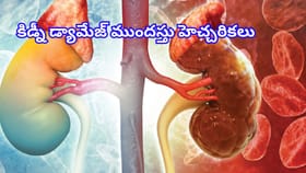 కిడ్నీ డ్యామేజ్ ముందు మీ శరీరం చెబుతున్న అలర్ట్స్.. జాగ్రత్త!