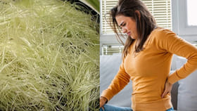 ఆ పీచుతో కిడ్నీలో రాళ్ళను పిండి చేయవచ్చని తెలుసా?