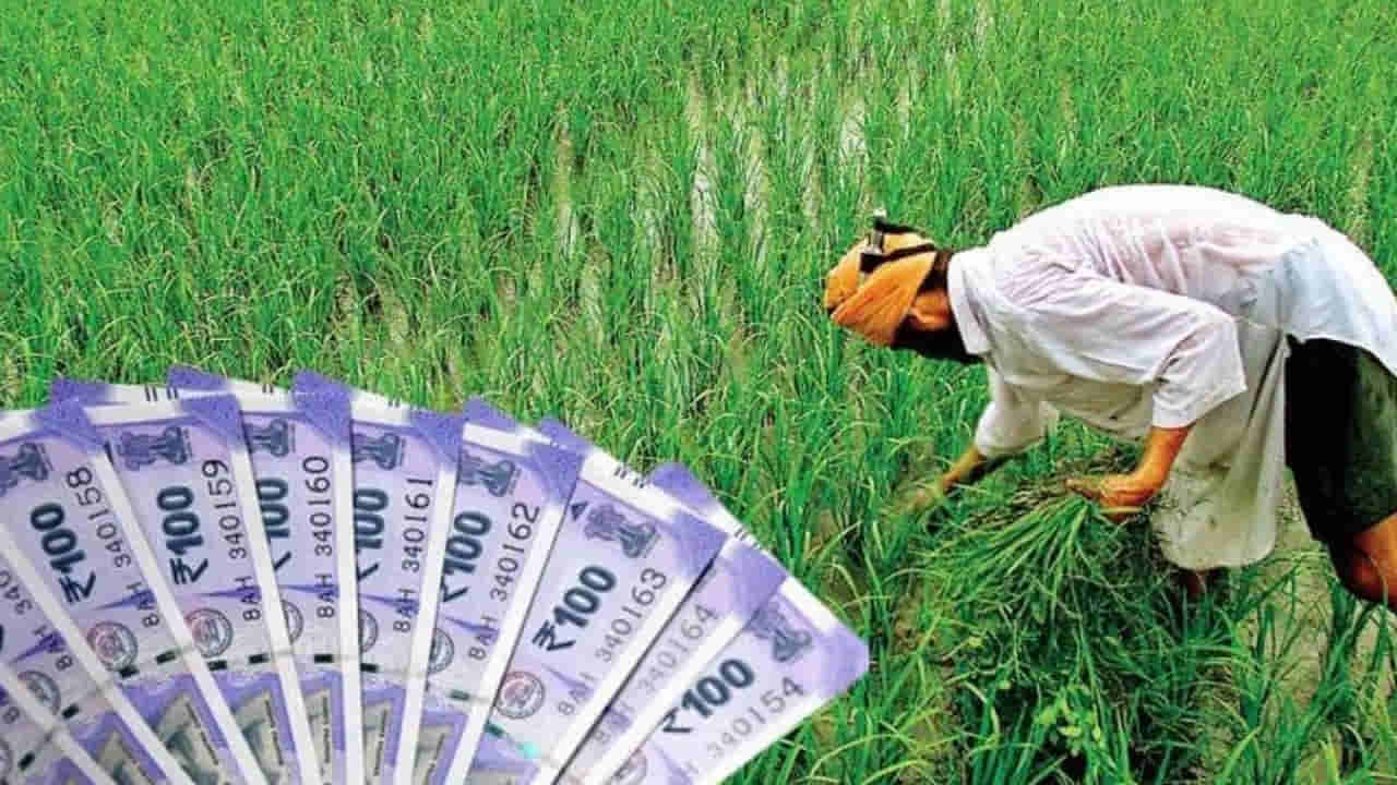 Kisan Credit Card: రైతులకు రూ.3 లక్షల వరకు లోన్.. నిమిషాల్లోనే అకౌంట్లోకి.. ఎలంటి హామీ అక్కర్లేదు..