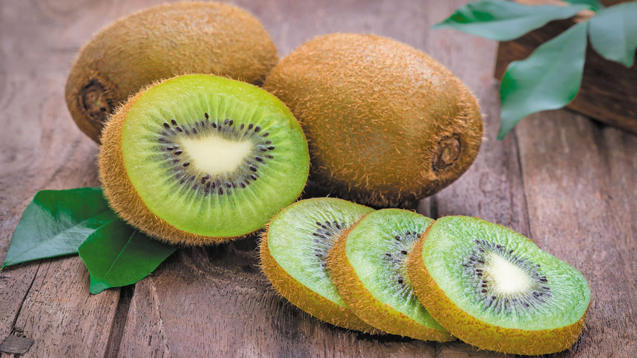 కివి పండు చాలా మందికి నచ్చకపోయినా, ఇది పోషకాలతో నిండి ఉంటుంది. చూసేందుకు చిన్నగా ఉన్నప్పటికీ, ఇందులో విటమిన్ సి, ఫైబర్, ఫోలేట్, పొటాషియం, యాంటీఆక్సిడెంట్లు పుష్కలంగా ఉన్నాయి. ఇవన్నీ మన రోగనిరోధక శక్తిని పెంచుతాయి. జీర్ణక్రియను మెరుగుపరుస్తాయి. శరీరానికి అవసరమైన శక్తిని అందిస్తాయి. ఆకుపచ్చ కివి పండు పోషకాలతో నిండి ఉంటుంది.