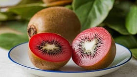 ఈ పండు రోజుకు ఒక్కటి తింటే చాలు.. డాక్టర్‌కి,ఆసుపత్రికి గుడ్‌భై!