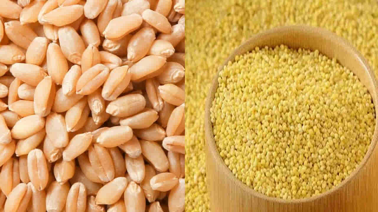 Korra vs Wheat Rava: కొర్రలు వర్సెస్ గోధుమ రవ్వ.. మార్నింగ్ బ్రేక్ఫాస్ట్లో ఏది బెటర్..!