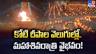 శివపార్వతుల కల్యాణంలో సాక్షాత్కరించిన నాగరాజు