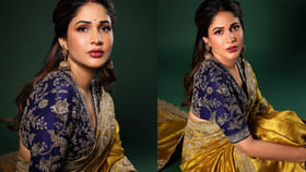 లావణ్య త్రిపాఠి స్ట్రాంగ్ కౌంటర్.. అసలేం జరిగిందంటే..